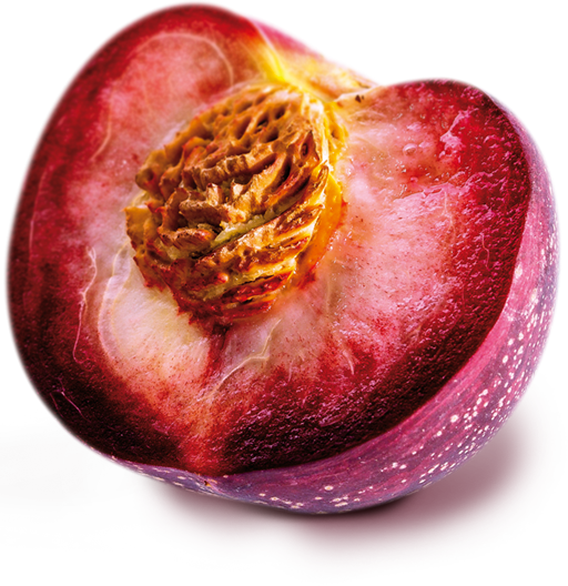 Nectavigne