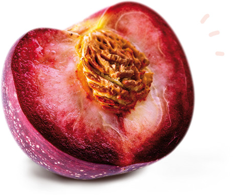 Nectavigne