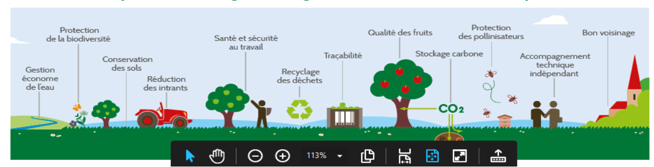 Illustration vergers éco-responsables
